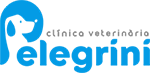 Logo Pelegrini PNG