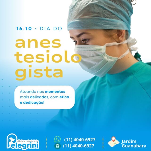 Hoje é Dia do Anestesista, um profissional fundamental tanto na medicina humana quanto na veterinária! Na nossa rotina, esses especialistas garantem que nossos bichinhos de quatro patas passem por cirurgias e procedimentos com segurança e conforto. Seu trabalho vai além da aplicação de anestesia, envolve monitoramento constante, cuidado e muita atenção. Agradecemos a todos os anestesistas veterinários por sua dedicação e por sempre zelarem pelo bem-estar dos nossos peludos! 👏🐾 #diadoanestesista #medicinaveterinaria #cuidadoanimal