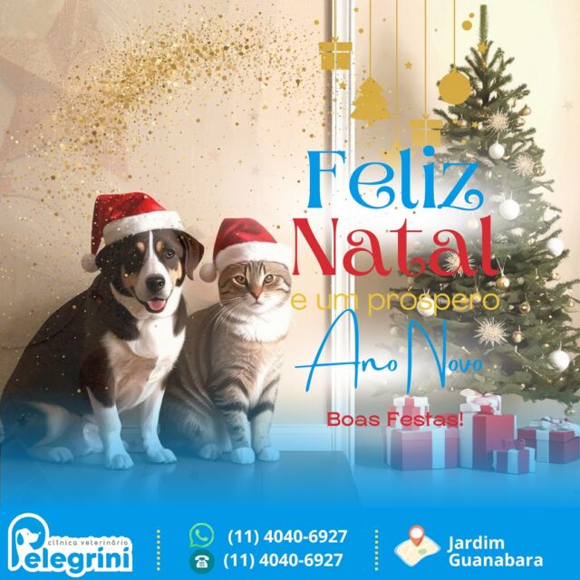🎄✨ Feliz Natal e Boas Festas! ✨🎄

A Clínica Veterinária Pelegrini deseja a todos os nossos clientes, colaboradores, prestadores de serviços e suas famílias um Natal repleto de alegria, amor e união.

Que o Ano Novo traga muitas bênçãos, saúde e realizações para todos nós. Obrigado por fazerem parte da nossa história! 💙

🌟 Juntos, seguimos construindo um futuro ainda mais especial e, acima de tudo, cuidando dos animais com dedicação, tornando o mundo mais seguro e acolhedor para eles. Exercer a medicina veterinária com amor é a nossa maior missão! 🌟